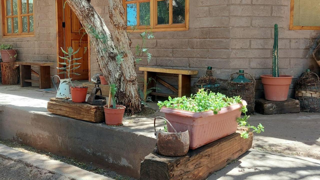 Hermosa Y Tranquila Casita Cerca Del Centro. *